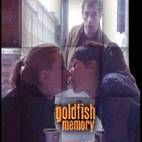 Foto Todas as Cores do Amor