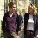 Foto Todas as Cores do Amor