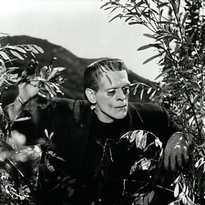 Foto Frankenstein