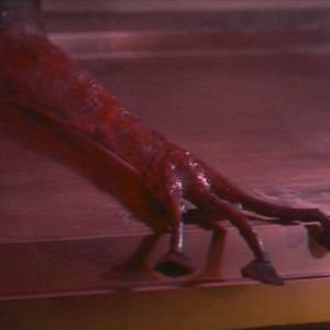 Foto A Guerra dos Mundos