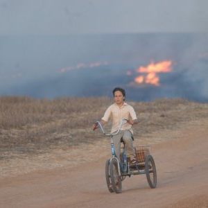 Foto Exuberante Deserto