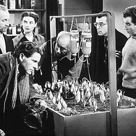 Foto O Monstro do Ártico