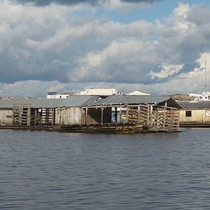 Foto Narradores de Javé