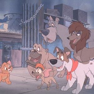 Foto Oliver e Seus Companheiros