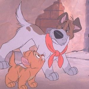 Foto Oliver e Seus Companheiros