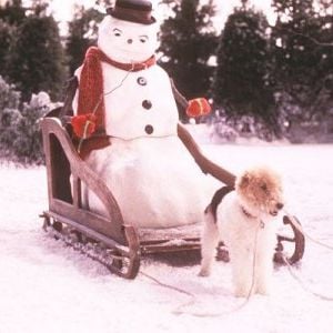 Foto Uma Noite Mágica