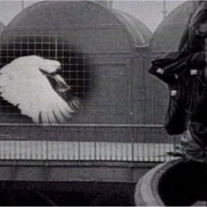 Foto Nós Que Aqui Estamos Por Vós Esperamos