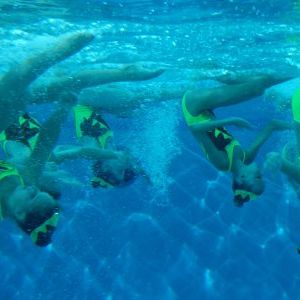 Foto Lírios D'Água