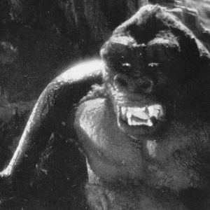 Foto King Kong