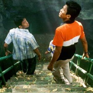 Foto Mal dos Trópicos