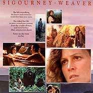 Foto Nas Montanhas dos Gorilas