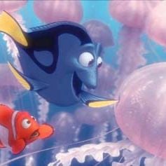 Foto Procurando Nemo