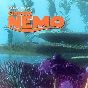 Foto Procurando Nemo