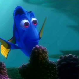 Foto Procurando Nemo