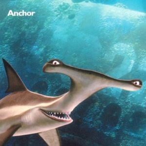 Foto Procurando Nemo