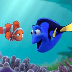 Foto Procurando Nemo