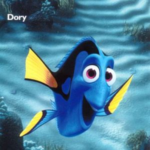 Foto Procurando Nemo