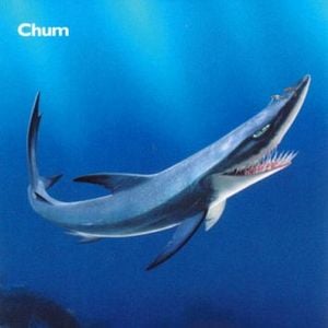 Foto Procurando Nemo