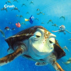 Foto Procurando Nemo