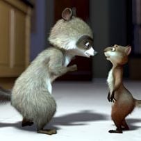 Foto Os Sem-Floresta