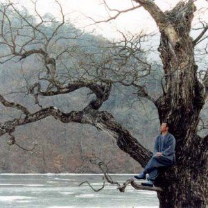 Foto Primavera, Verão, Outono, Inverno e... Primavera