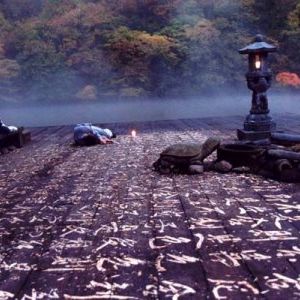 Foto Primavera, Verão, Outono, Inverno e... Primavera