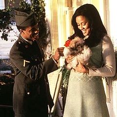 Foto Por Que o Amor Enlouquece