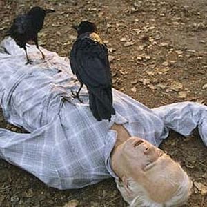 Foto Rose Red - A Casa Adormecida