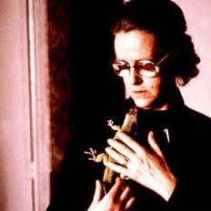 Foto Que Fiz Eu Para Merecer Isto?