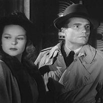 Foto Sangue de Pantera