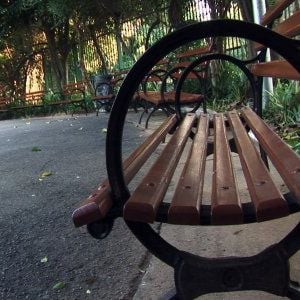 Foto Otávio e as Letras