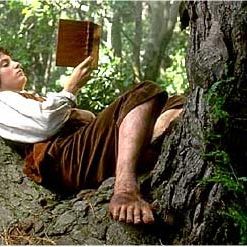 Foto O Senhor dos Anéis - A Sociedade do Anel