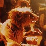 Foto As Tartarugas Ninja