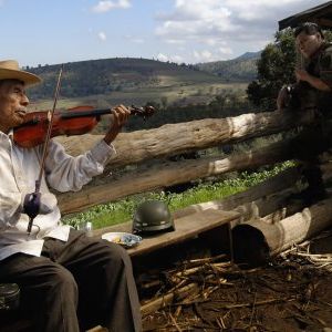 Foto O Violino