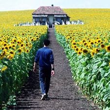 Foto Uma Vida Iluminada