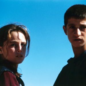 Foto Tartarugas Podem Voar