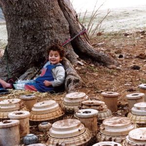 Foto Tartarugas Podem Voar