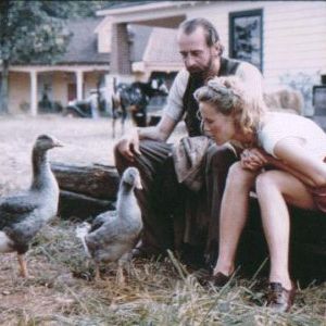 Foto Tomates Verdes Fritos