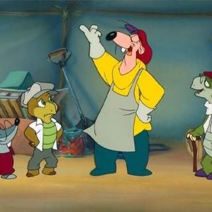 Foto A Tartaruga Manuelita