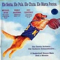 Foto Bud, O Cão Amigo