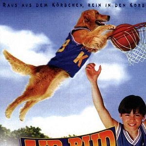 Foto Bud, O Cão Amigo