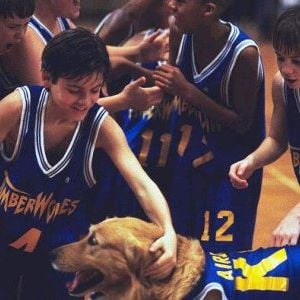 Foto Bud, O Cão Amigo