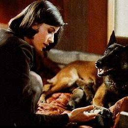 Foto A Fraternidade é Vermelha