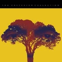 Foto Gosto de Cereja