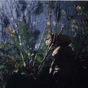 Foto E.T. - O Extraterrestre