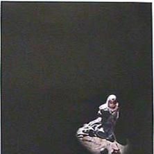 Foto Poltergeist II - O Outro Lado