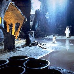 Foto O Tigre e o Dragão