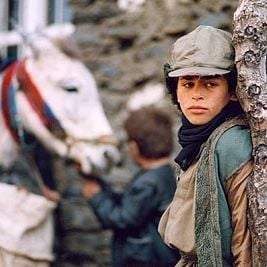 Foto Tempo de Cavalos Bêbados