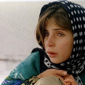 Foto Tempo de Cavalos Bêbados