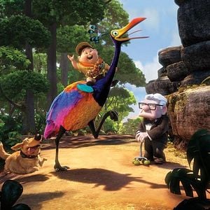 Foto Up - Altas Aventuras